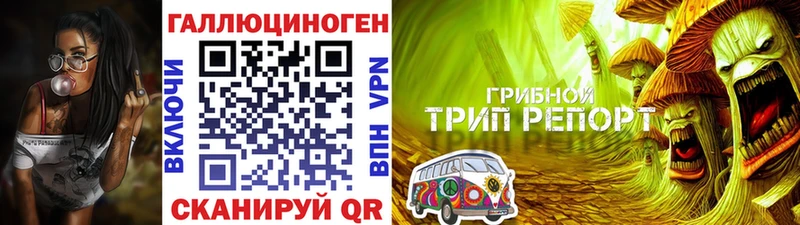 Галлюциногенные грибы MAGIC MUSHROOMS  Крым 